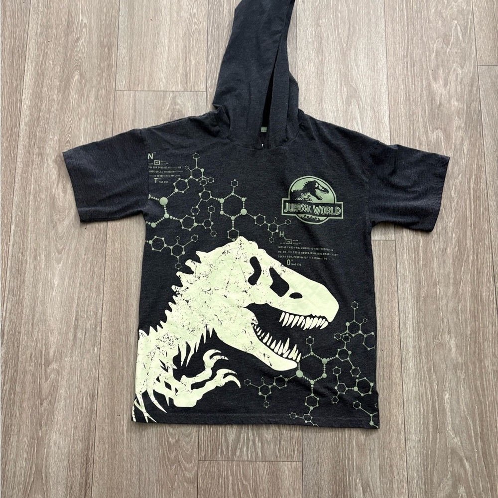 Kids Black Dinosaur Hoodie T-Shirt